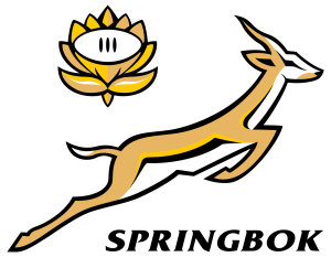 Springboks – The South African Rugby Team