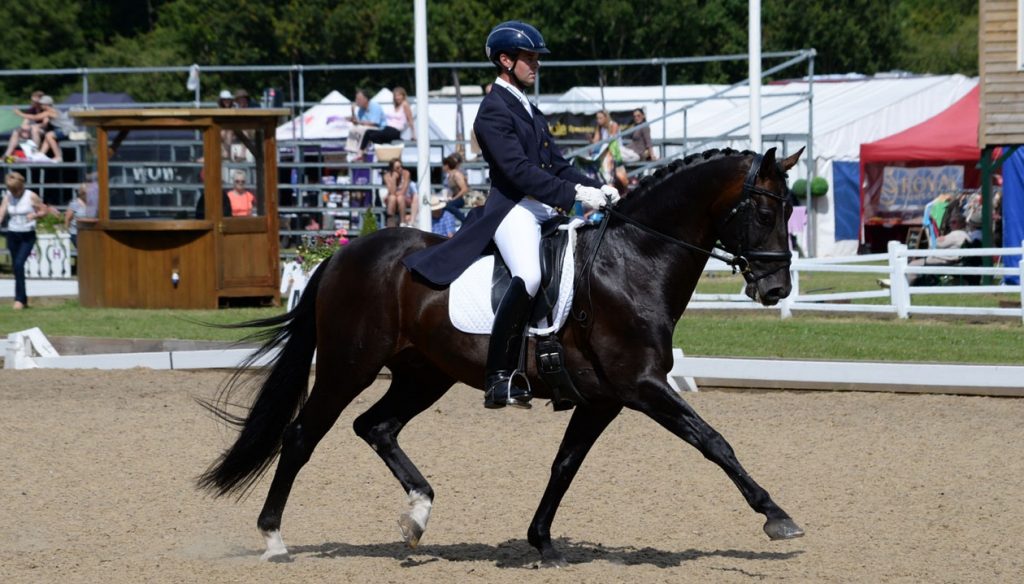 Dressage – the Equestrian Event