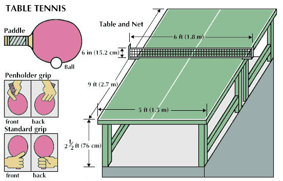 The Table Tennis Equipments