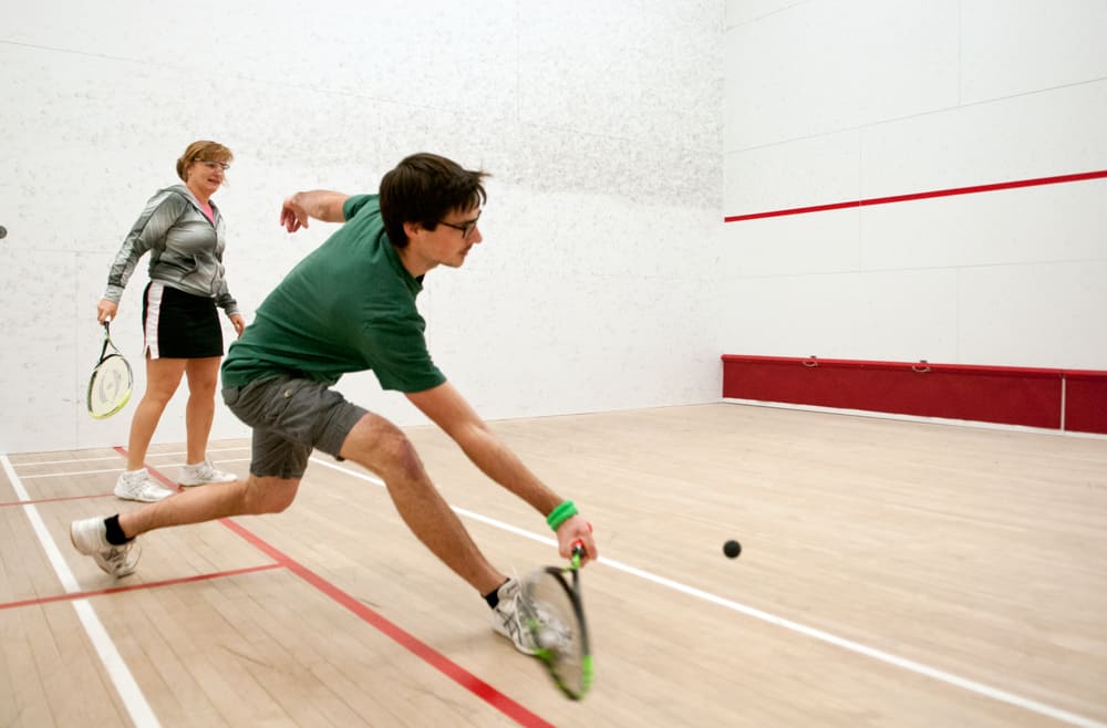 Everything you want to know about Squash