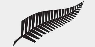 All You Want To Know About Rugby Union In New Zealand