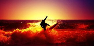 Everything you want to know about Surfing