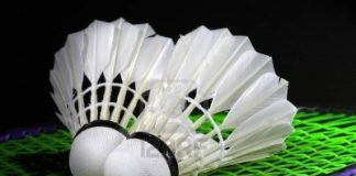 Badminton Facts: History, World Records, Rules and Interesting Trivia