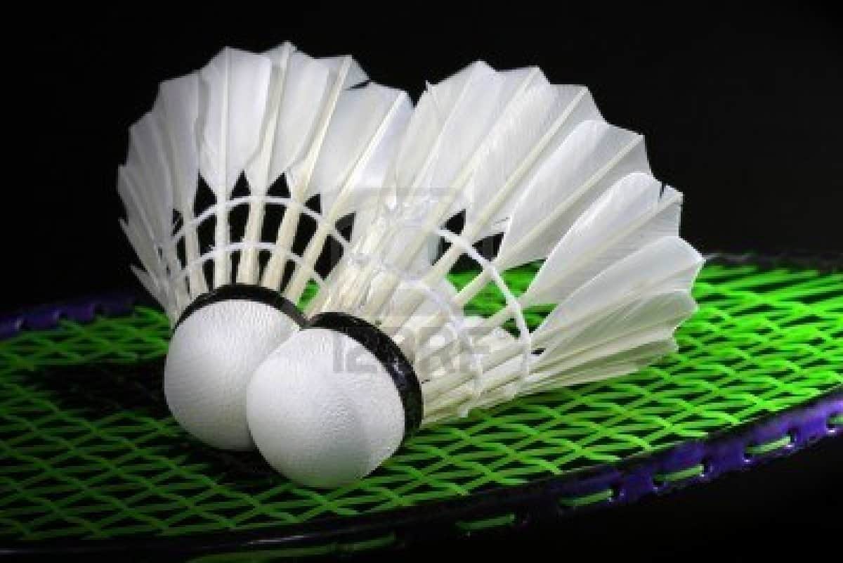 about badminton