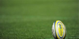 16 Interesting Facts About Rugby World Cup facts about rugby world cup