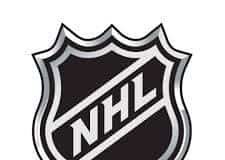 National Hockey League (NHL) – A Professional Ice Hockey League