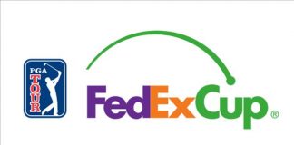 All You Want to Know about FedEx Cup
