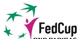 All You Want to Know about Fed Cup