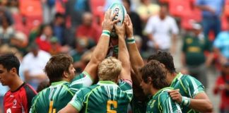 Some of the Most Interesting Facts about Springboks