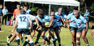 All about New South Wales Waratahs
