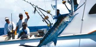 All you want to know about Sport Fishing