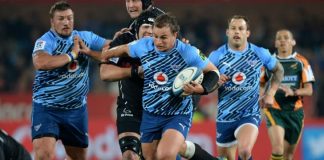 All about South African Rugby Union Team Vodacom Bulls