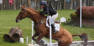 Equestrian (Horse Riding) Game: Facts, History, Rules