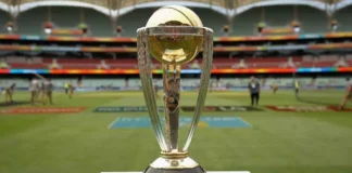 Cricket World Cup Winners & Runners up List (1975-2019)