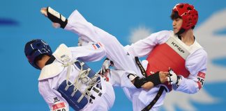 Various Taekwondo Protectors To Maintain Safety While Training Taekwondo Various Taekwondo Protectors