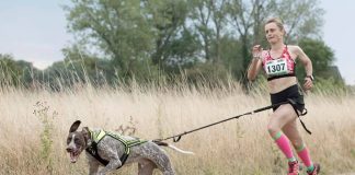 The Complete Guide To Canicross and How It Can Be a Great Sport For Your Dog Canicross