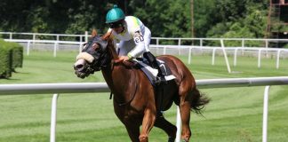 How To Bet On Sports For Beginners: 10 Actionable Tips