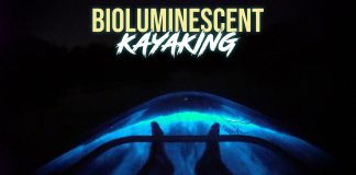Bioluminescence Kayaking: Best Locations, When to Go and What to Expect Bioluminescence Kayaking