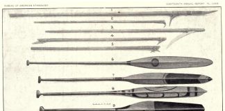 Kayak Paddle Guide: Length, Materials, Blade Shape and What to Buy