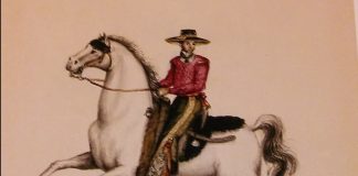 Charreria: Mexico’s National Sport and UNESCO Cultural Heritage Charreria Mexico
