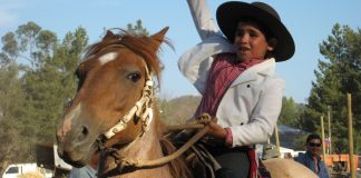Chilean Rodeo: Chile’s National Sport and How It Works Chilean Rodeo